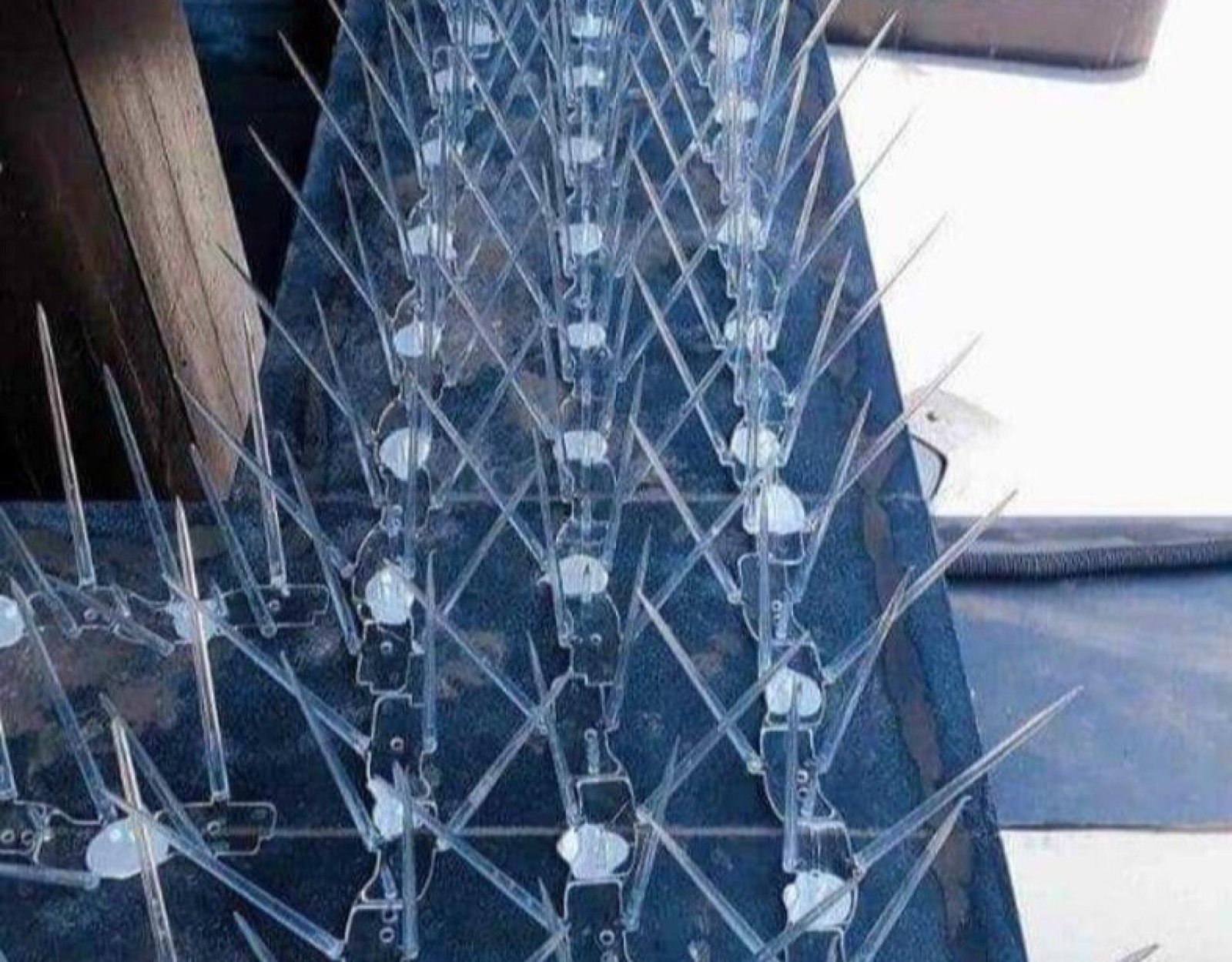 pvc-anti-bird-spike